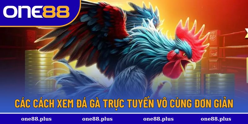 Những cách xem đơn và luôn uy tín