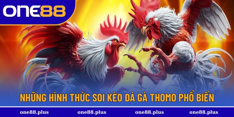 Những hình thức tham gia được mọi người ưa chuộng
