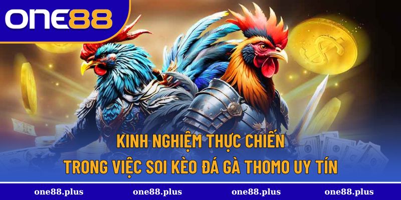 Những kinh nghiệm được rút ra từ các cao thủ