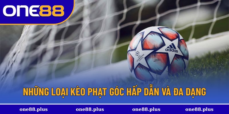 Có những hình thức tham gia nào hấp dẫn
