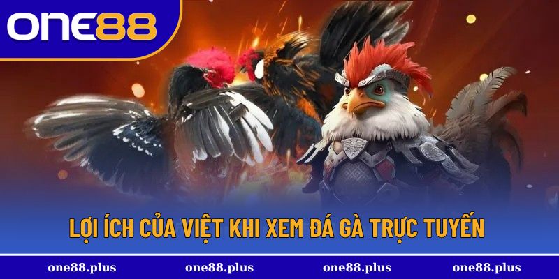 Các điểm đặc biệt của hình thức này