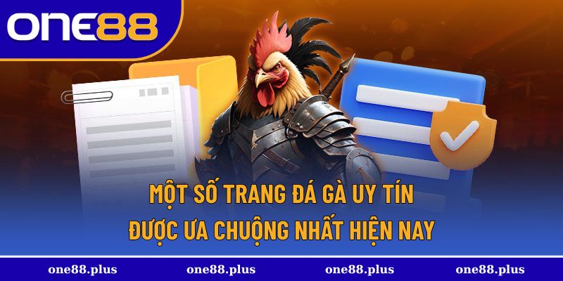Những trang đá gà uy tín được chọn lọc kỹ