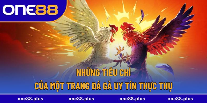 Các tiêu chí dẫn đầu khi tham gia