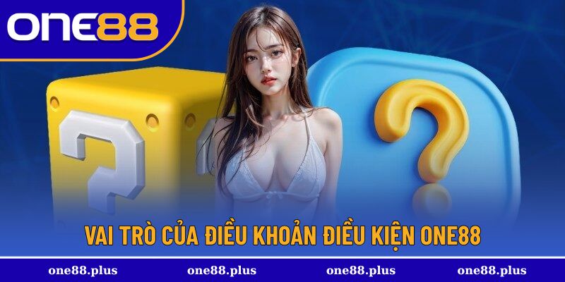 Vai trò chính của chính sách điều khoản này