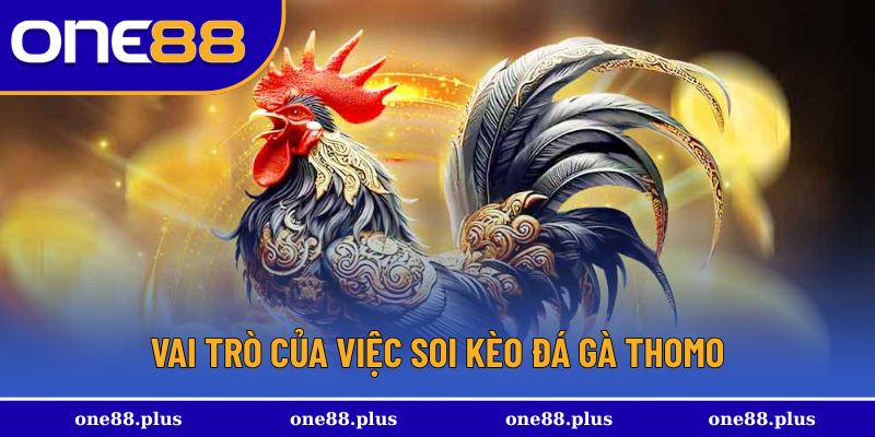Vai trò độc đáo trong việc soi kèo đá gà Thomo